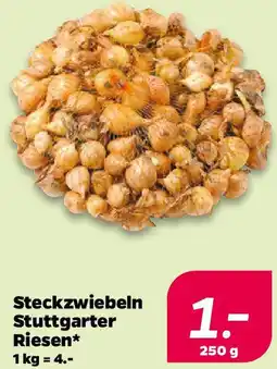 NETTO Steckzwiebeln Stuttgarter Riesen Angebot