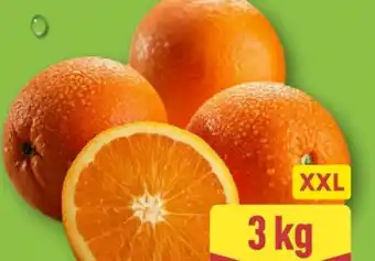 Aldi Nord Orangen Angebot