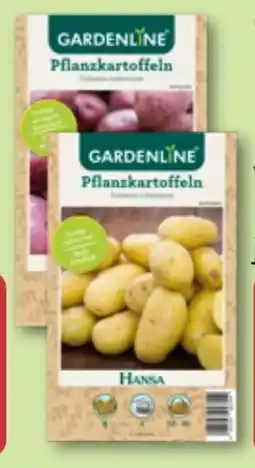 Aldi Nord Gardenline Premium-Pflanzkartoffeln Angebot