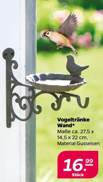 NETTO Vogeltränke Wand Angebot