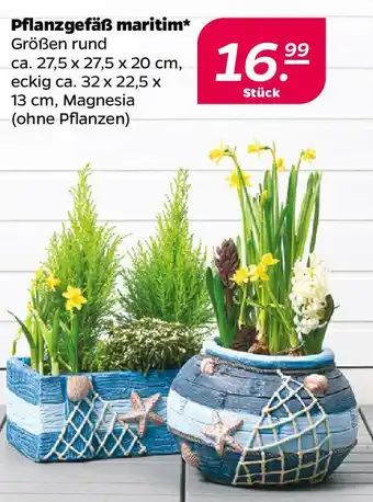 NETTO Pflanzgefäß maritim Angebot