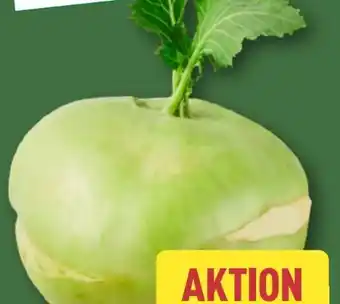 Aldi Nord Kohlrabi Angebot