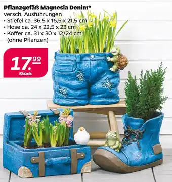 NETTO Pflanzgefäß Magnesia Denim Angebot