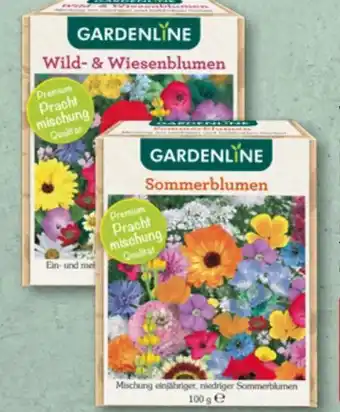 Aldi Nord Gardenline Blumensaatgut Angebot