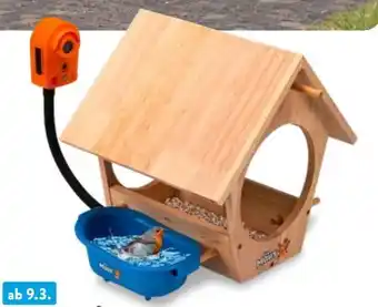 Aldi Nord Die Maus Vogelhaus mit Kamera Angebot