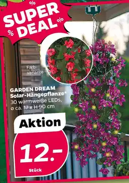 NETTO GARDEN DREAM Solar-Hängepflanze Angebot