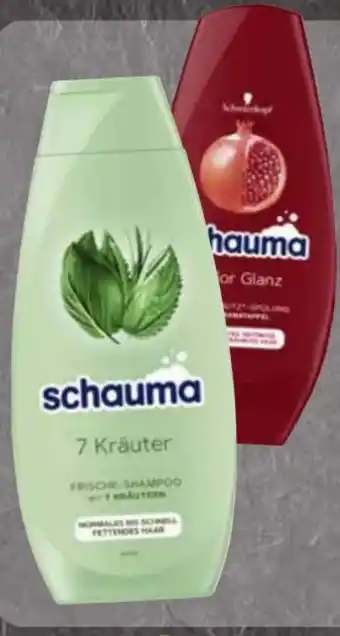 Edeka Schwarzkopf Schauma Shampoo 7 Kräuter Angebot