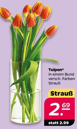 NETTO Tulpen Angebot