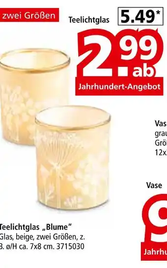 Segmüller Teelichtglas Angebot