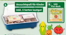 PENNY Mini-gewächshaus tom tomate Angebot