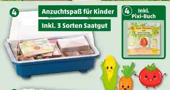 PENNY Mini-gewächshaus tom tomate Angebot