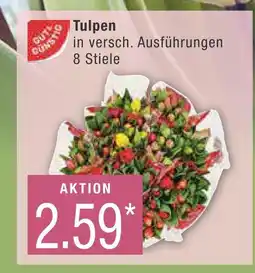 Marktkauf Gut&günstig tulpen Angebot