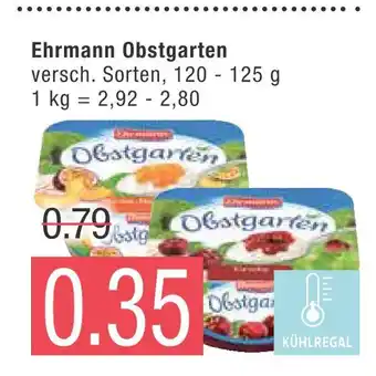 Marktkauf Ehrmann obstgarten Angebot