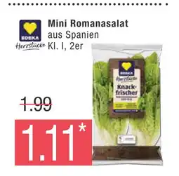 Marktkauf Edeka mini romanasalat Angebot