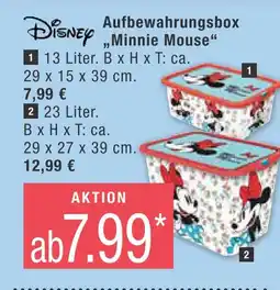 Marktkauf Disney aufbewahrungsbox minnie mouse Angebot