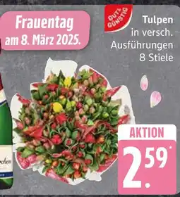 Edeka Tulpen Angebot