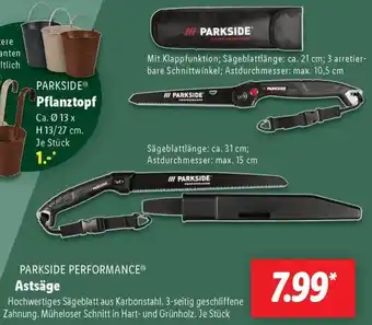 Lidl PARKSIDE PERFORMANCE Astsäge Angebot