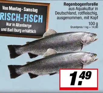 L. STROETMANN GROSSMARKT Regenbogenforelle Angebot