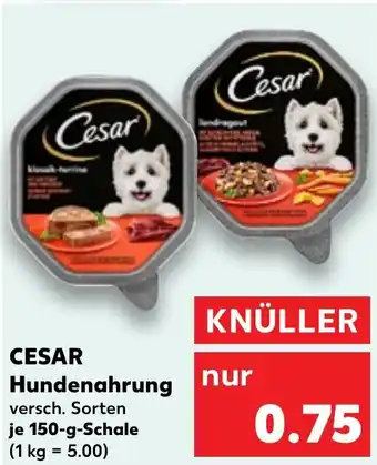 Kaufland CESAR Hundenahrung Angebot