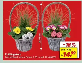 toom Baumarkt Frühlingskorb Angebot