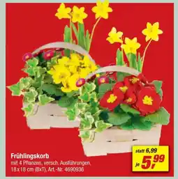 toom Baumarkt Frühlingskorb Angebot