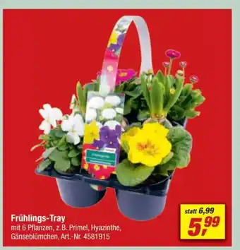 toom Baumarkt Frühlings-Tray Angebot