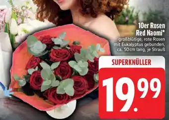 Edeka 10er Rosen Red Naomi Angebot