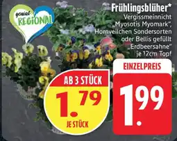 Edeka Frühlingsblüher Angebot