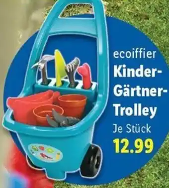 Lidl ecoiffier Kinder Gärtner Trolley Angebot