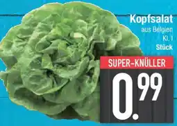 E-Center Kopfsalat Angebot