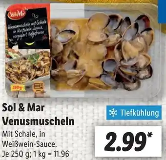 Lidl Sol & Mar Venusmuscheln Angebot