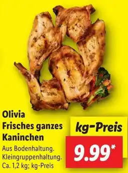 Lidl Olivia Frisches ganzes Kaninchen Angebot