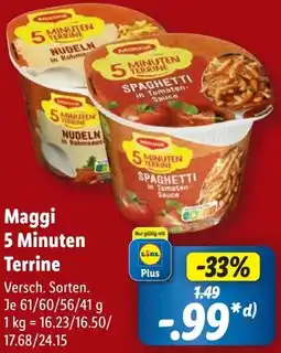 Lidl Maggi 5 Minuten Terrine Angebot