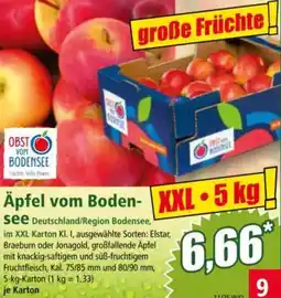 Norma Äpfel vom Bodensee Angebot