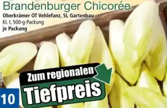 Norma Brandenburger Chicorée Angebot