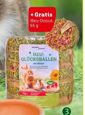 Pflanzen Kölle Naturhof schröder „heu-glücksballen“ Angebot