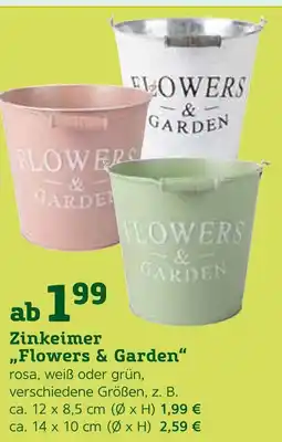 Pflanzen Kölle Zinkeimer „flowers & garden“ Angebot