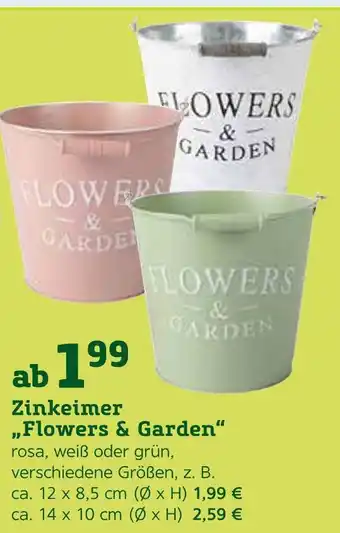 Pflanzen Kölle Zinkeimer „flowers & garden“ Angebot