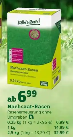 Pflanzen Kölle Kölle's beste! nachsaat-rasen Angebot