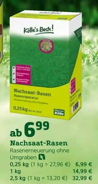 Pflanzen Kölle Kölle's beste! nachsaat-rasen Angebot