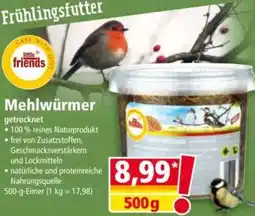 Norma little friends Mehlwürmer Angebot