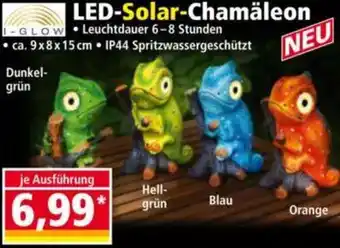 Norma I-GLOW LED-Solar-Chamäleon Angebot