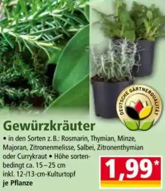 Norma Gewürzkräuter Angebot