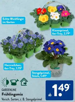 Aldi Süd GARDENLINE Frühlingsmix Angebot