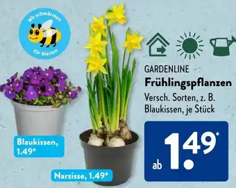 Aldi Süd GARDENLINE Frühlingspflanzen Angebot