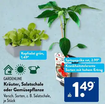 Aldi Süd GARDENLINE Kräuter, Salatschale oder Gemüsepflanze Angebot