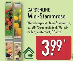 Aldi Nord GARDENLINE Mini-Stammrose Angebot