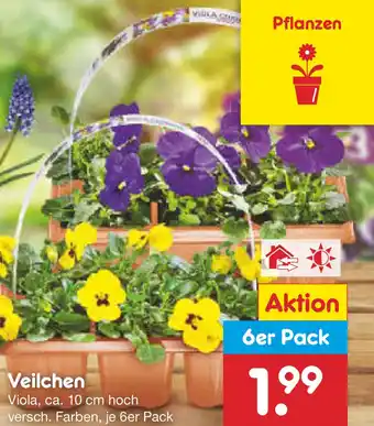 Netto Marken-Discount Veilchen Angebot