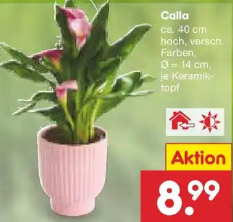 Netto Marken-Discount Calla Angebot