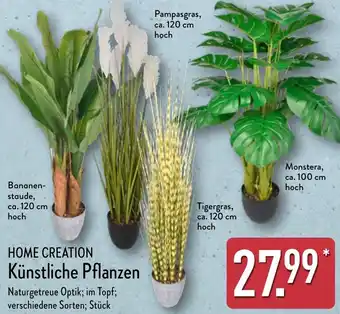 Aldi Nord HOME CREATION Künstliche Pflanzen Angebot